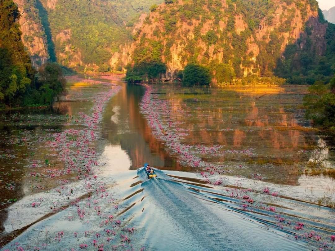 Tam Coc Paradise Homestay Ninh Bình Exteriör bild