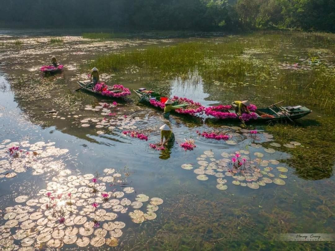 Tam Coc Paradise Homestay Ninh Bình Exteriör bild